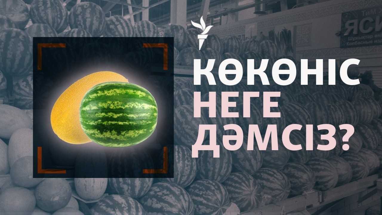 "Резеңке қарбыз" бен "қағаз сәбіз" неге көбейді?