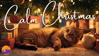 🎄 CAT CHRISTMAS MUSIC ❤️ Festive Carol Lullabies for Anxious Cats 🐱