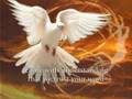 Veni Creator Spiritus Holy Gifts 