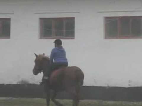 herghelia beclean.wmv