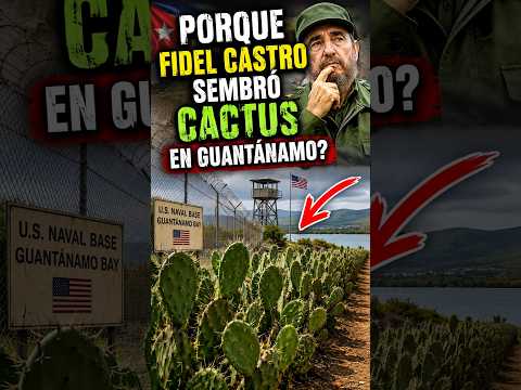 Porque Fidel Castro sembrò Cactus en Guantanamo? #fidelcastro #guantanamo #shorts