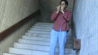 The best place to play harmonica in the whole world...