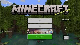 【マイクラ】初心者がなんやかんや頑張る【ゲーム配信】
