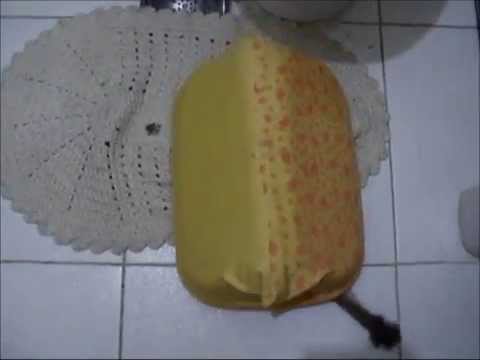 VIDEOS ENGRAÇADOS 2014 - TV COUTO - GATOS ENGRAÇADOS - Gatos Patrick II, Felipe II e Vidinha.