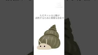 #shorts  #たにし　＃日本の生き物＃ピンク