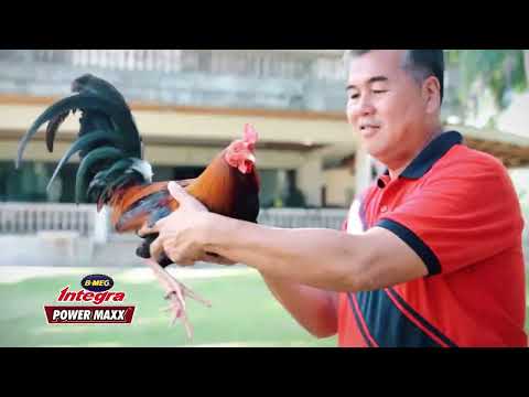 SWEATER BOSTON ROUNDHEADS NI MARTIN ESCOLIN