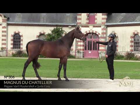 MAGNUS DU CHATELLIER