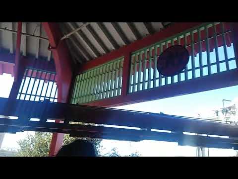 Ninja short video by Keith's Transit Experiences
