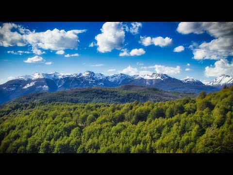 Fiestas Costumbristas 2026