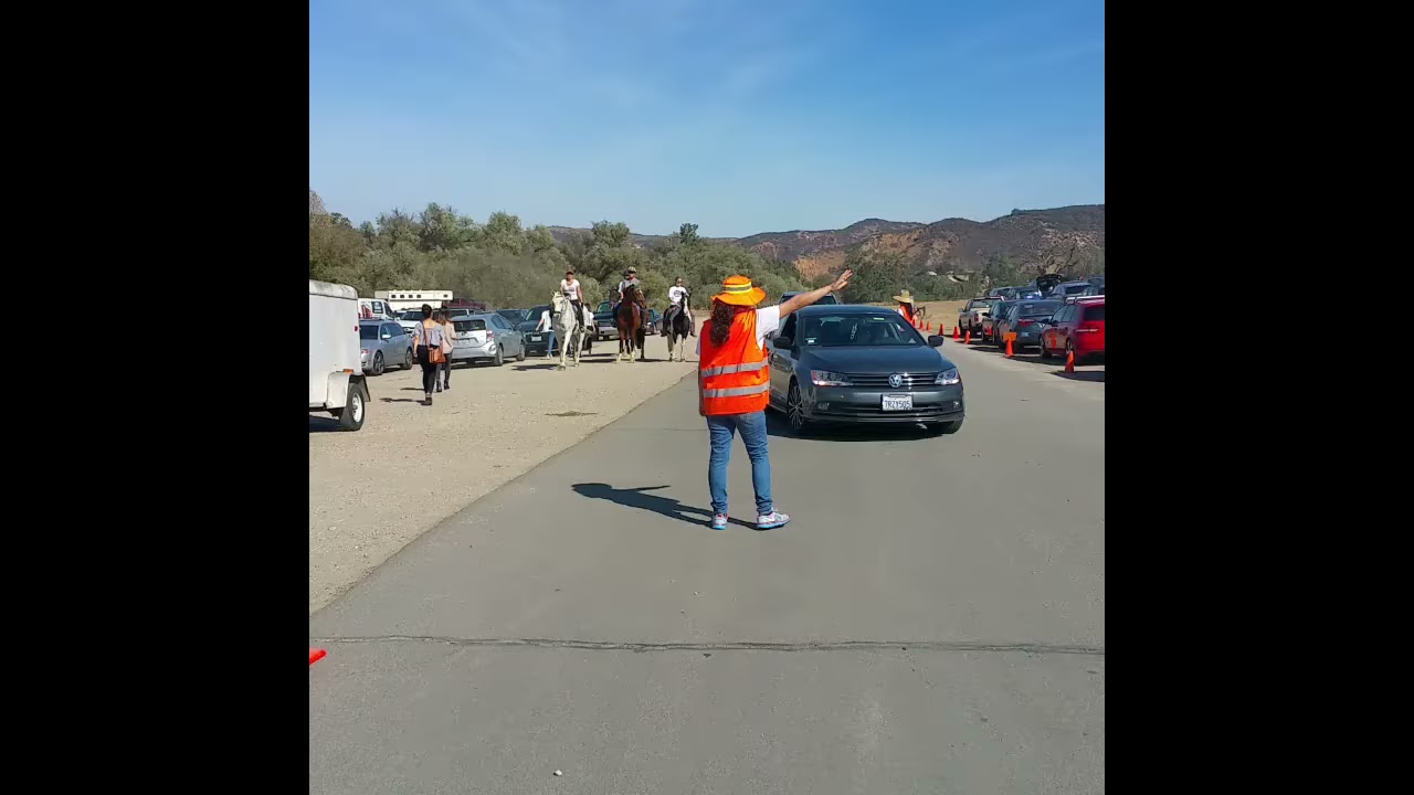 Supplying a team of specially trained team members of traffic direction #parkingcars #cleaning