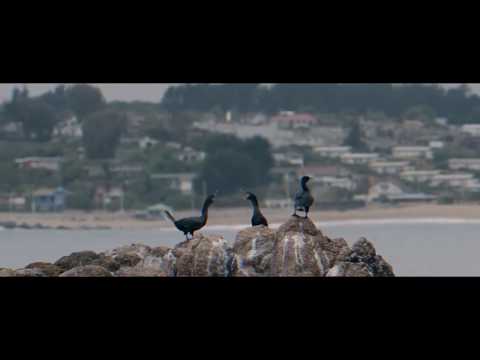 Lagunas Mentales "S/T"  (CASS Promo)