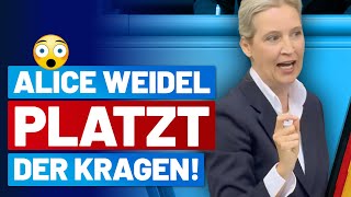 😂 Alice Weidel holt zur Generalabrechnung mit der kompletten politischen Klasse aus! - AfD-Fraktion