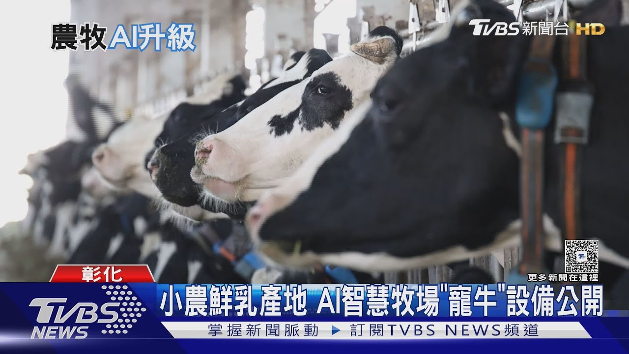 「牛奶戰爭」來了!台灣小農打造莊園級鮮乳 迎戰美國免稅