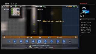 ルインのゲーム実況