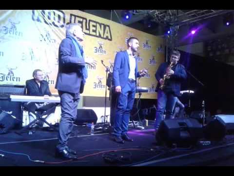 Dusan Zdravkovic - Ti si mi u krvi