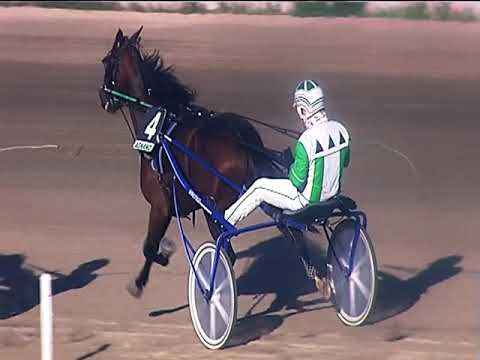 Trotto 07/12/2018 - 1ª corsa