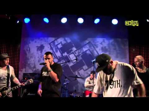 Vienio vs. Way Side Crew - Dla społeczeństwa (na żywo w Czwórce)