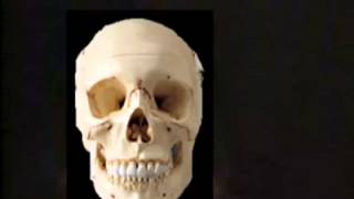 JUSTIN SANE - SPIRITS