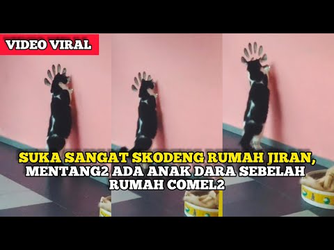 BILA HOBI SI BULUS SUKA 'STALK' JIRAN SEBELAH,"SKODENG SIAPA TU?"