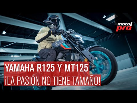 Video de YouTube