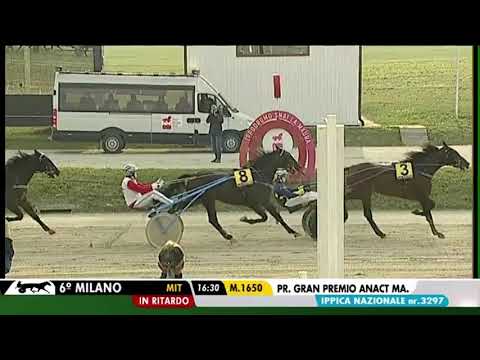 Semifinale Gran Premio ANACT 2021 DECIMOMERIDIO GPD - 29/10/2021