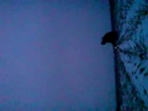 Wiaderko firework, DIY!