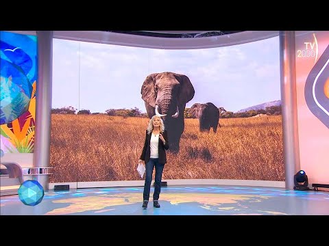 Il Mondo Insieme (Tv2000) - 18 dicembre 2022