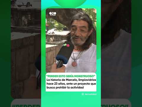 PROYECTO DE LEY QUE PROHÍBE A LOS LIMPIA VIDRIOS