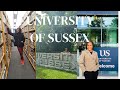 University of Sussex from the eye of an international student!