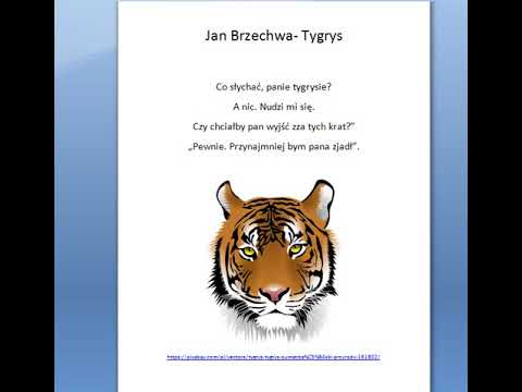Jan Brzechwa- Tygrys