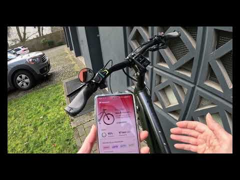 Bosch Smart System no connection to the app, bike locked Kiox 300