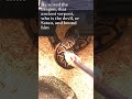 religious quotes in the bible, likening snakes to Satan #shorts #snakes #satan