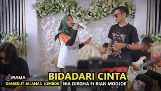 Download lagu DUET LUAR BIASA BIDADARI CINTA SANGAT MENJIWAI NIA DIRGHA DAN RIAN MODJOE IRAMA DOPANG mp3 Download lagu DUET LUAR BIASA BIDADARI CINTA SANGAT MENJIWAI NIA DIRGHA DAN RIAN MODJOE IRAMA DOPANG mp3