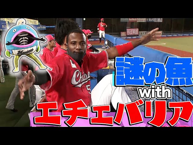 【それにしても】謎の魚 feat.千葉ロッテ・エチェバリア【ノリノリである】