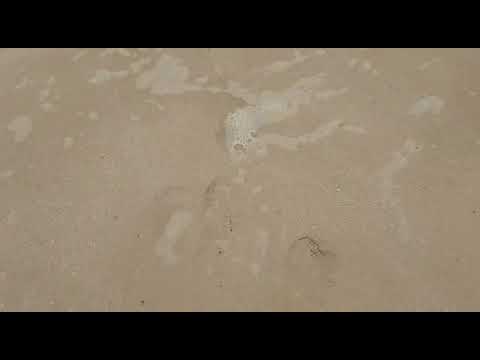 Salalah Beach Oman tour Part#3d | Oman Salalah Beach tour Vlog 2022 || MMS MUMTAZ TECHNICAL