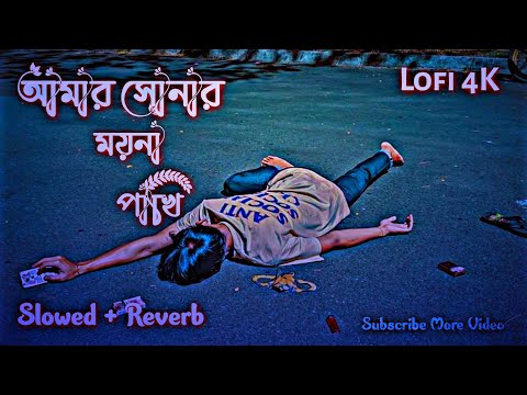আমার সোনার ময়না পাখি || Amar Sonar Moyna Pakhi || Slowed Reverd Lofi 4k || Bangla New Song Lofi 4k