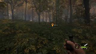 TheHunterCotW鹿を狩る