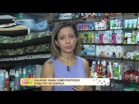Calazar: Saiba como proteger o seu pet da doença 29 08 2022