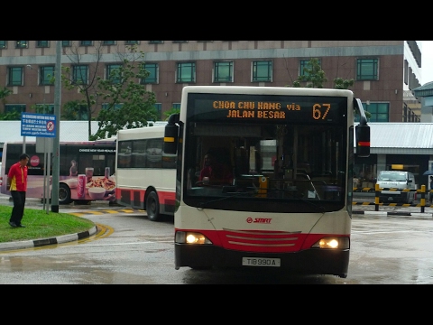 SMRT Bus Service 67, TIB990A