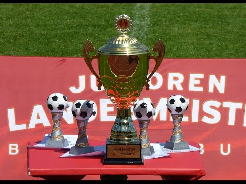 Das Landesmeisterschaftsturnier unserer D-Junioren 2015