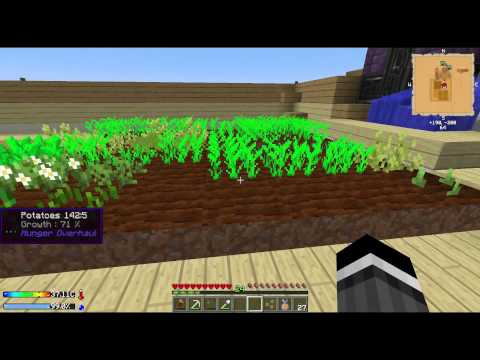 Crash Landing w/ Pakratt - E11: Learning Things and Stuff and Things