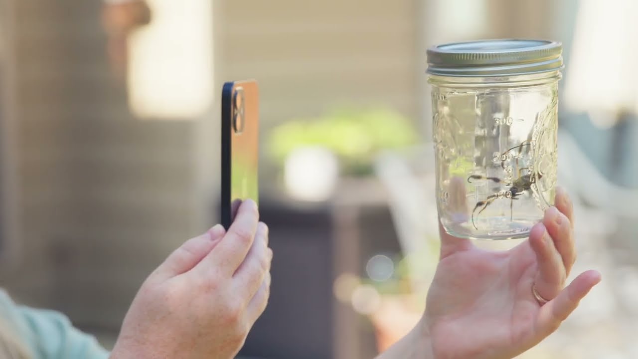 Video 1 preview image