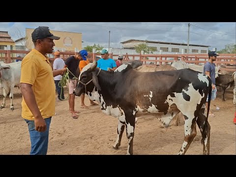 FEIRA DO GADO DE LAGOA DE PEDRAS-RN, SÓ O LUXO 05.01.2026