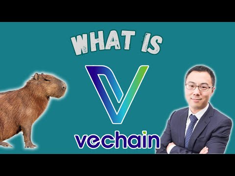 VeChain Unveiled: Mastering Supply Chain with Blockchain & IoT | A Comprehensive Guide
