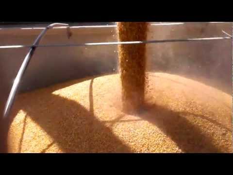 Loading Hopper With Corn (400lbs/sec)