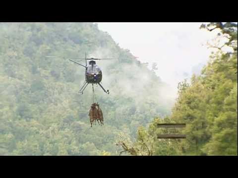 Hunting Aotearoa S3 Ep12 teaser