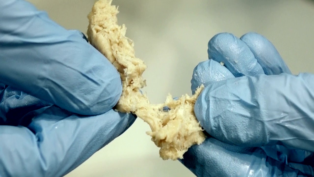Vegetarian Chicken Strips