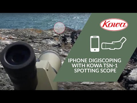 IPhone Digiscoping with Kowa TSN-1 Spotting Scope and iPhone SE