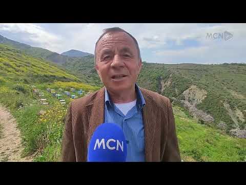 Kujdeset për 500 koshere me bletë. Enver Dyrma tregon vështirësitë e një bletari
