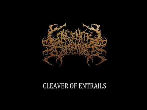 CONGENITAL ABNORMALITIES - Cleaver of Entrails (PROMO)